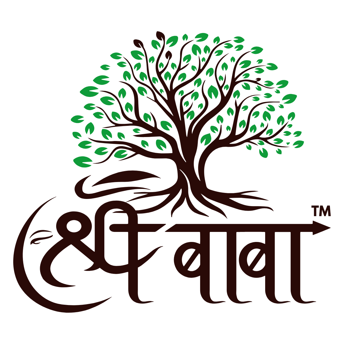 SHREE BABA FOOD INDIA (Shri Sidhha Baba Food & Agro Company)